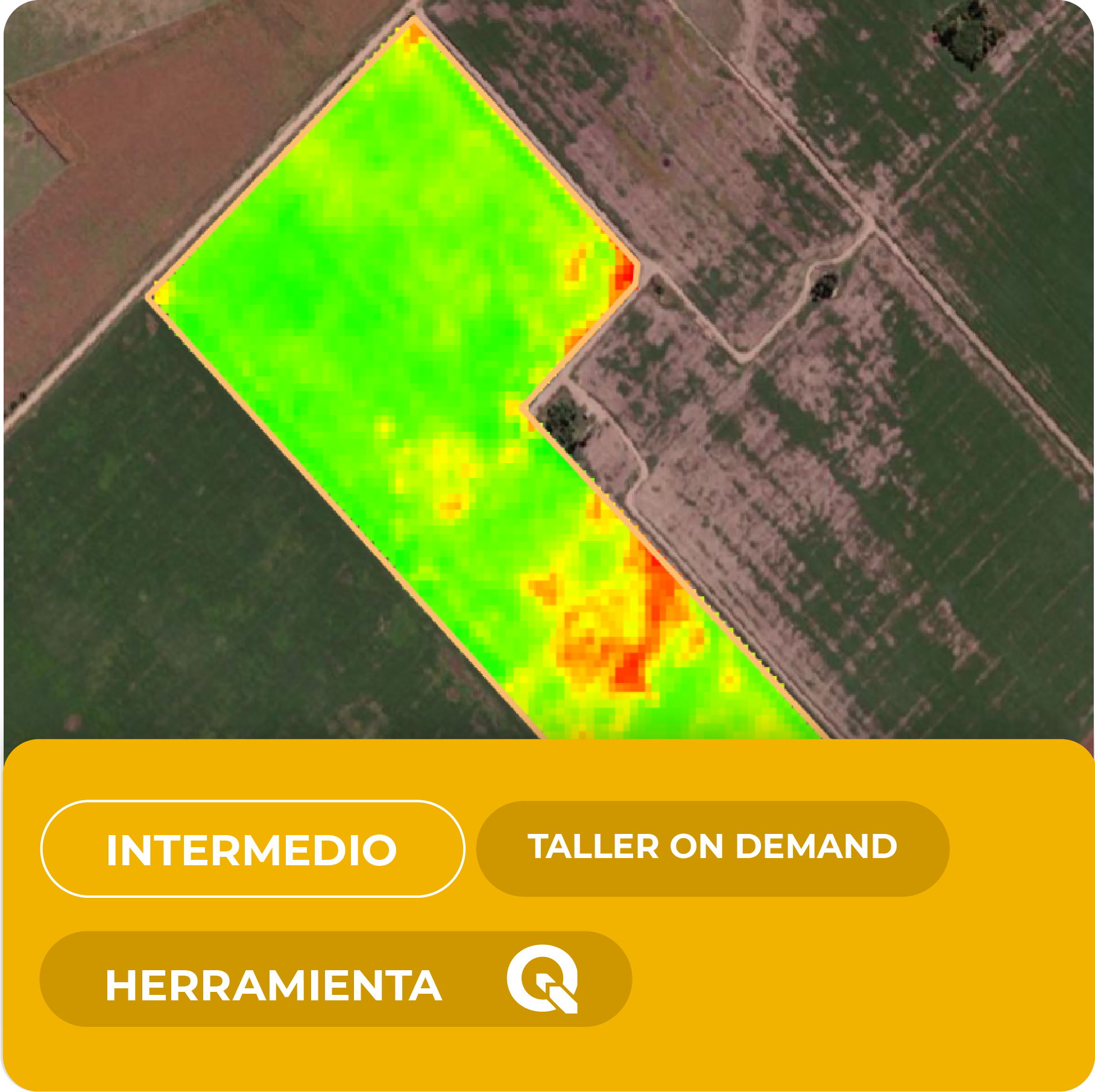 Taller de Agricultura Inteligente: monitoreo y toma de decisiones con datos satelitales